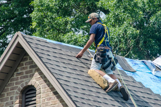 Quick and Trustworthy Emergency Roof Repair Services in Winterville, NC